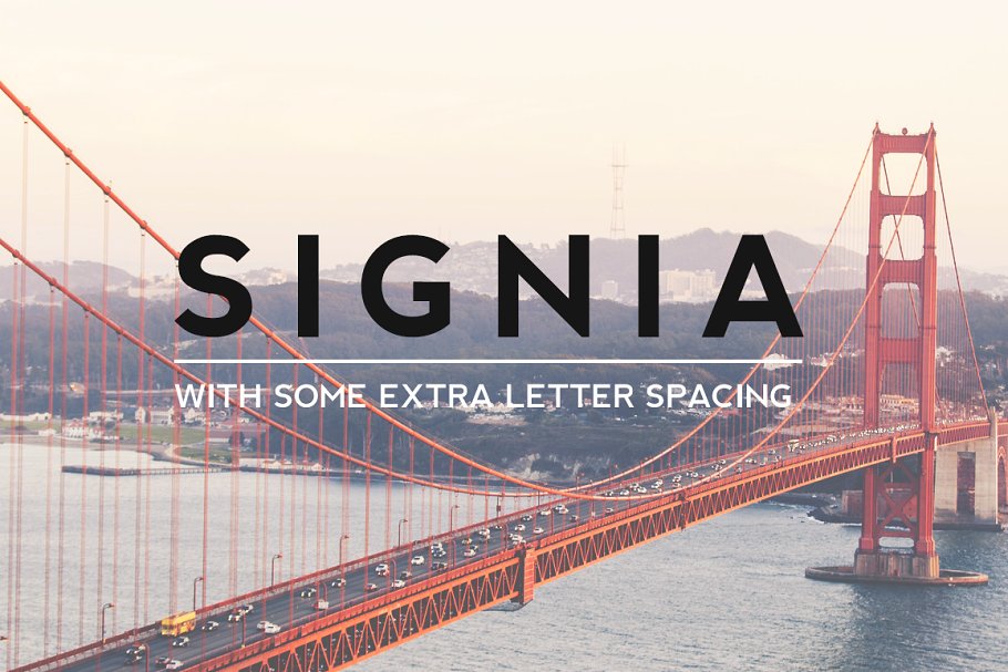Signia Pro Bold Font preview